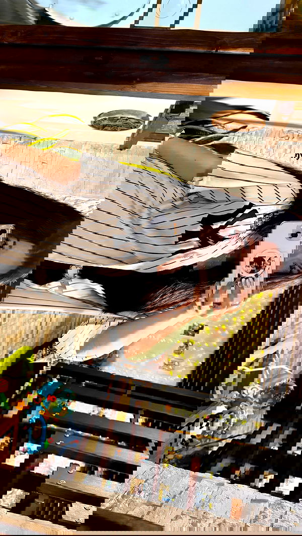 elsgatti image ~ Altpins