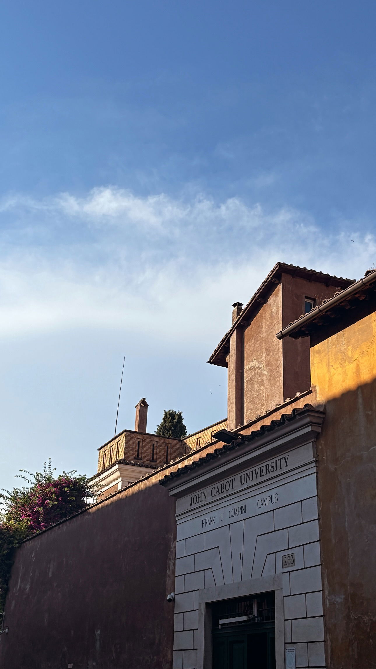 elsgatti instagram image archive image