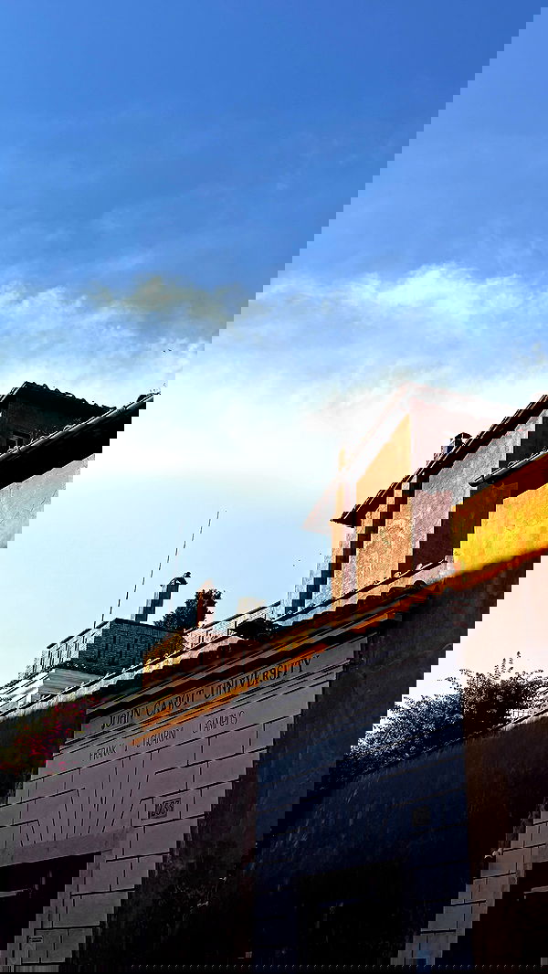 elsgatti image ~ Altpins