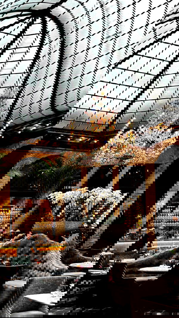 elsgatti image ~ Altpins