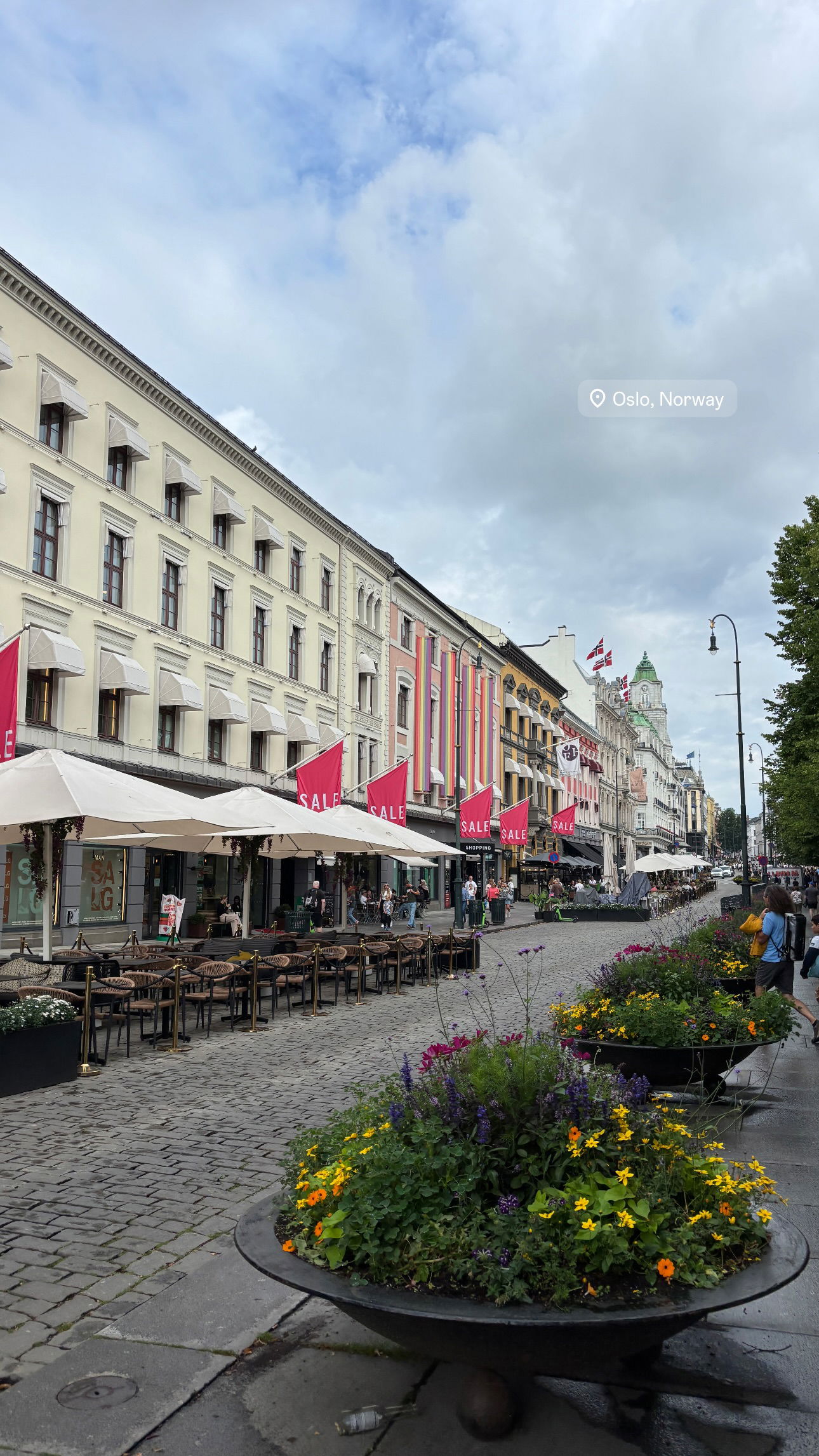 elsgatti instagram image archive image