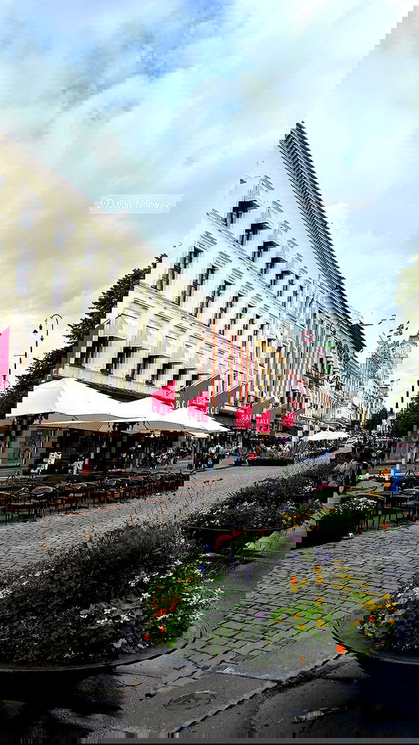 elsgatti image ~ Altpins