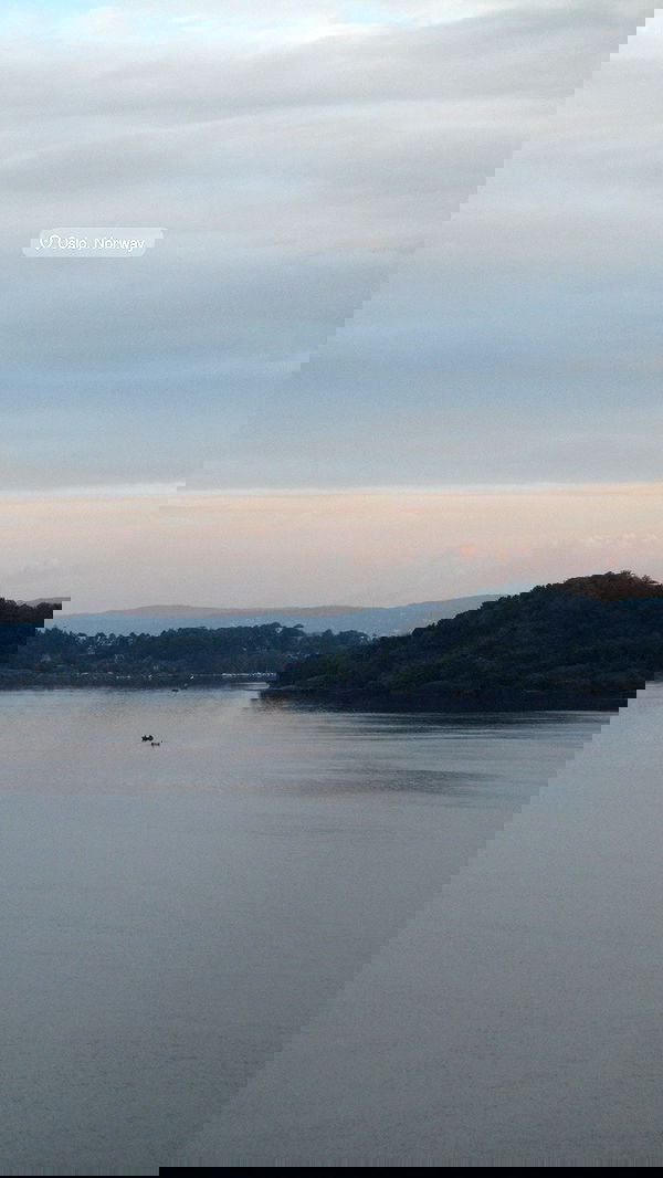 elsgatti image ~ Altpins