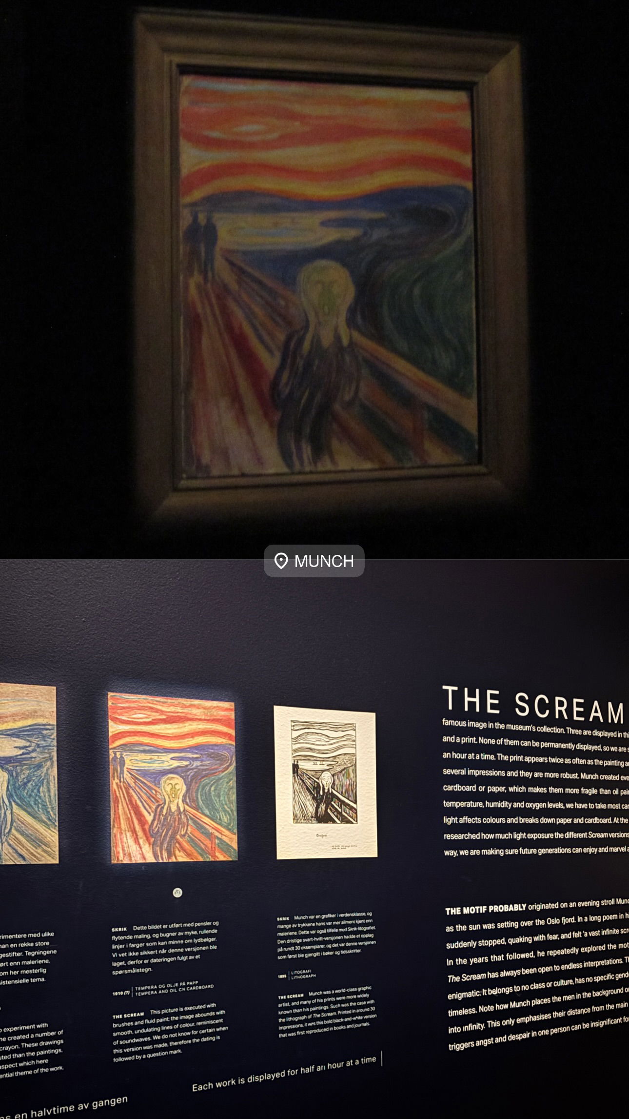 elsgatti instagram image archive image