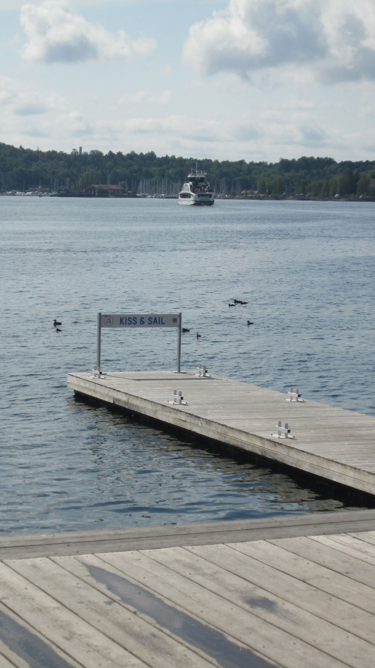 elsgatti instagram image archive image