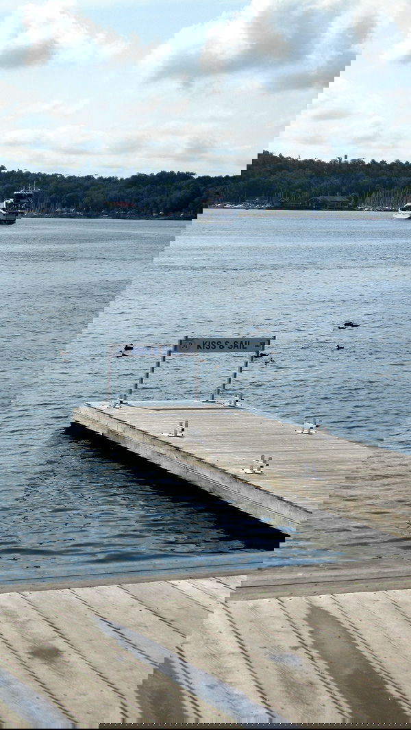 elsgatti image ~ Altpins