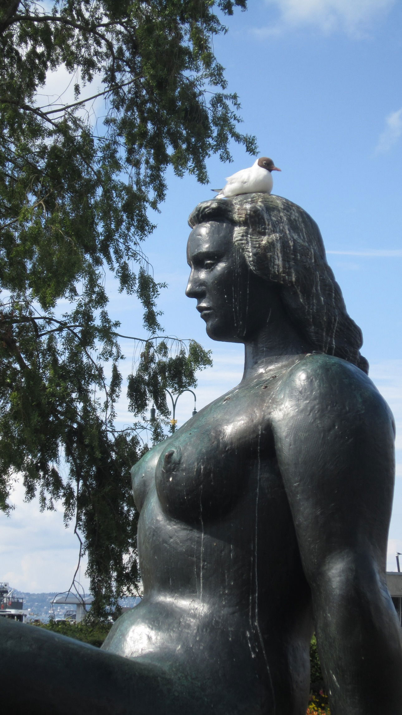 elsgatti instagram image archive image