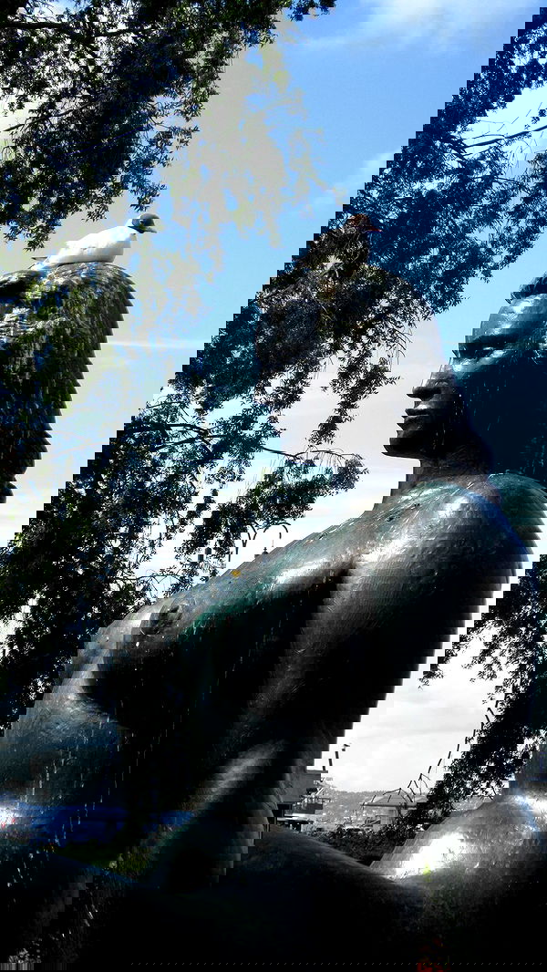 elsgatti image ~ Altpins