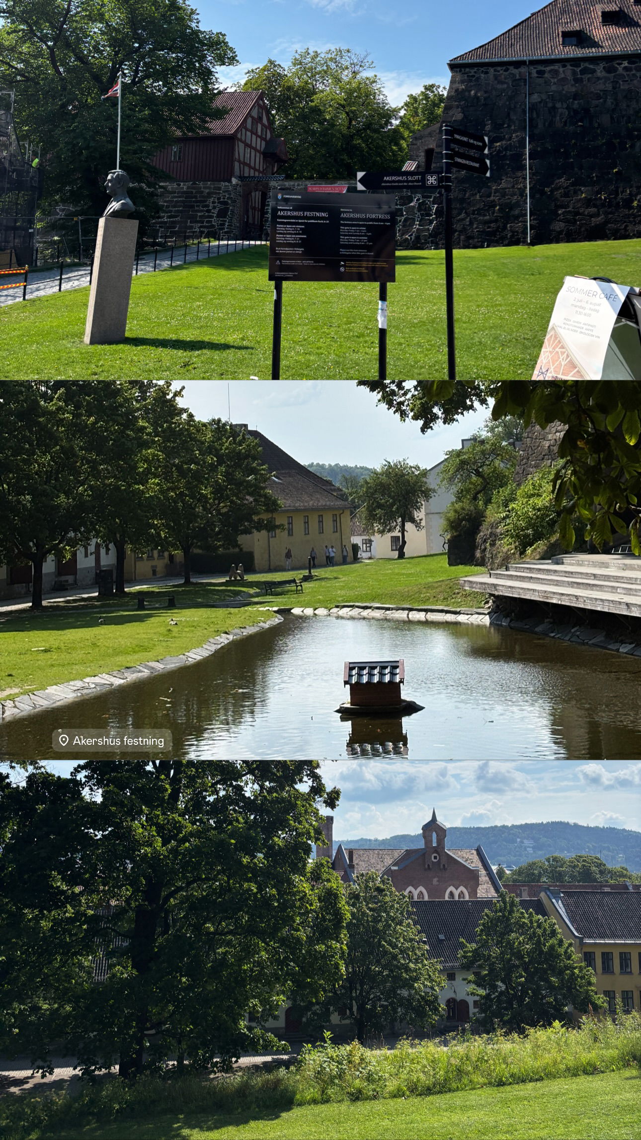 elsgatti instagram image archive image