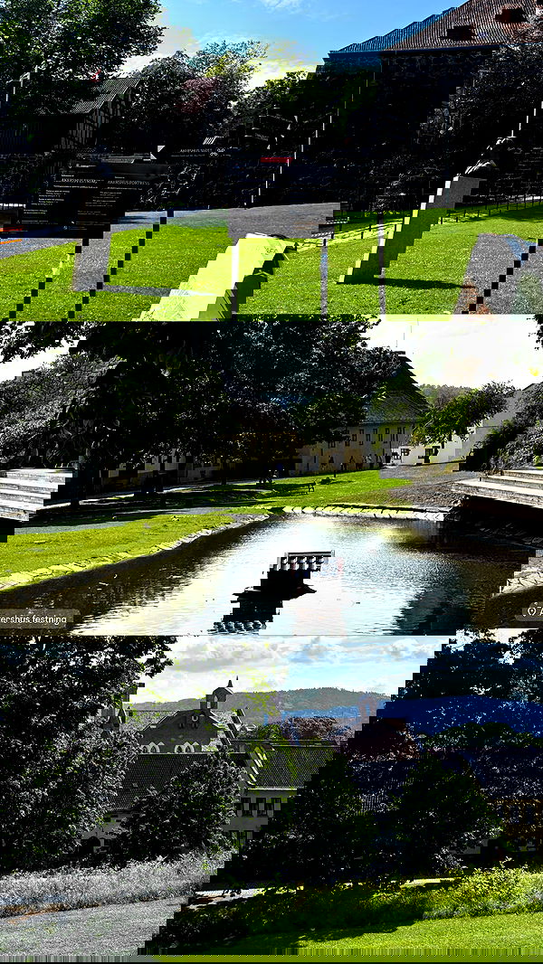 elsgatti image ~ Altpins