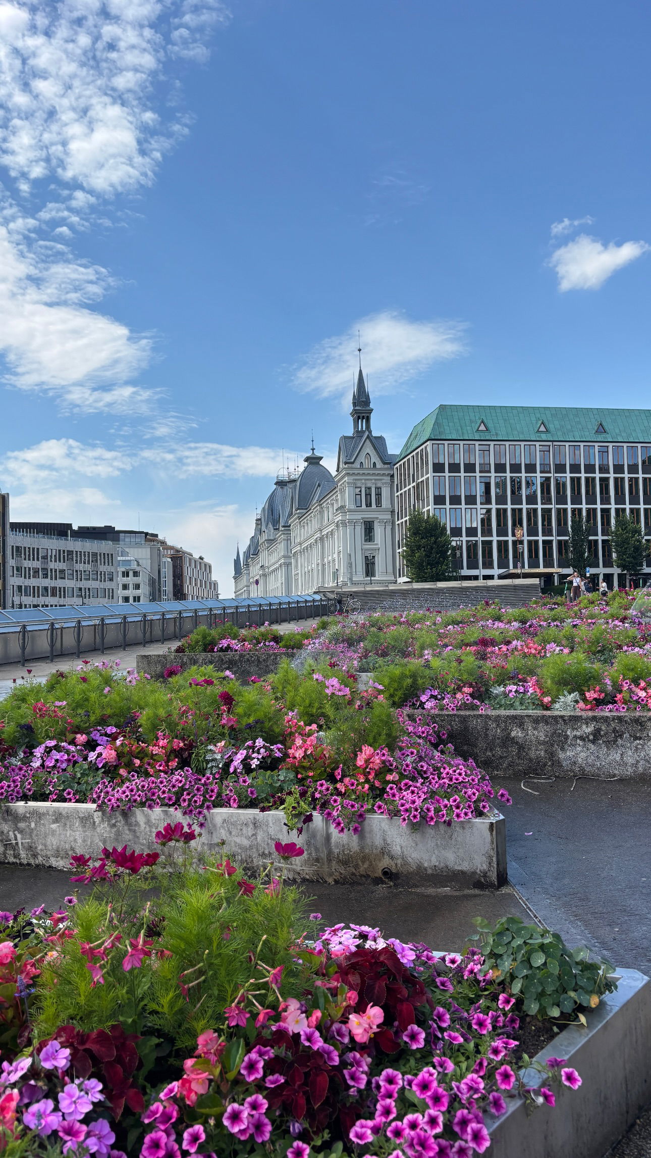 elsgatti instagram image archive image