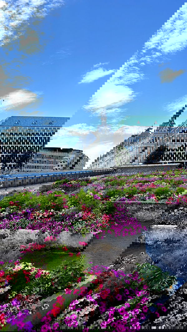 elsgatti image ~ Altpins