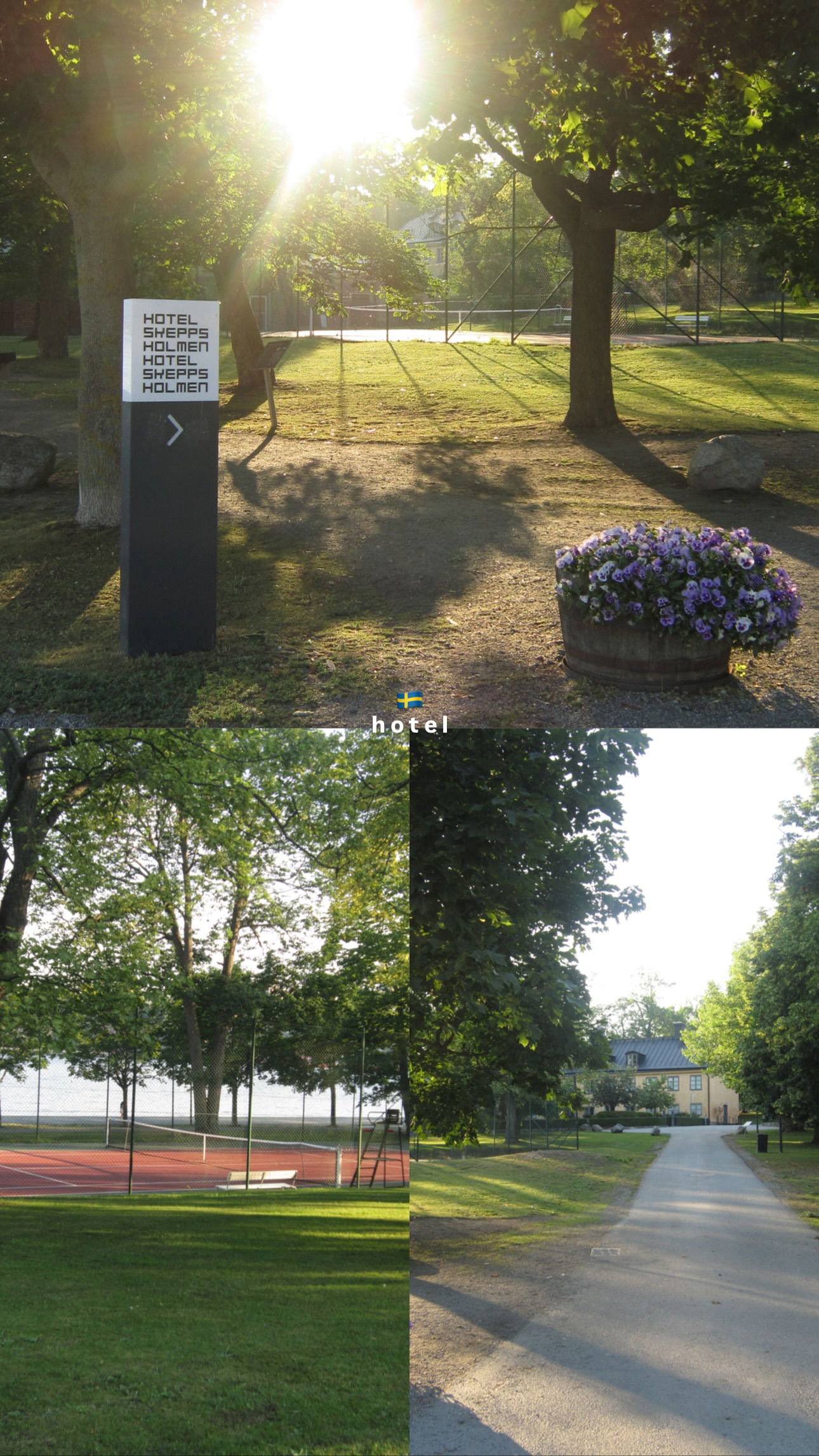 elsgatti instagram image archive image