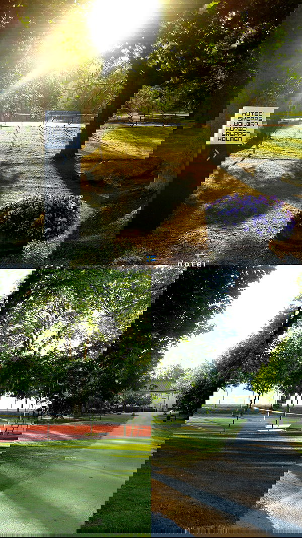 elsgatti image ~ Altpins