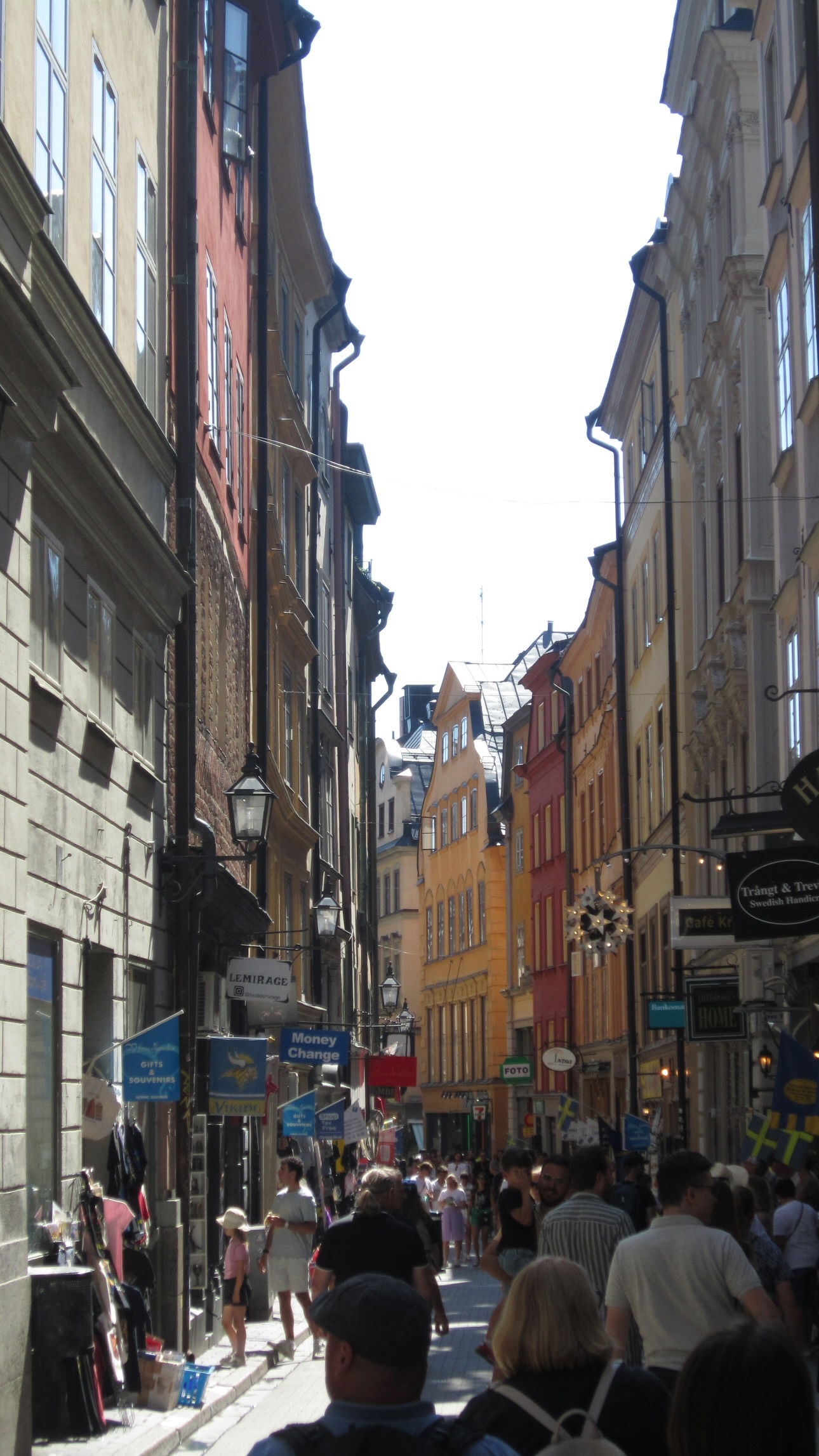 elsgatti instagram image archive image