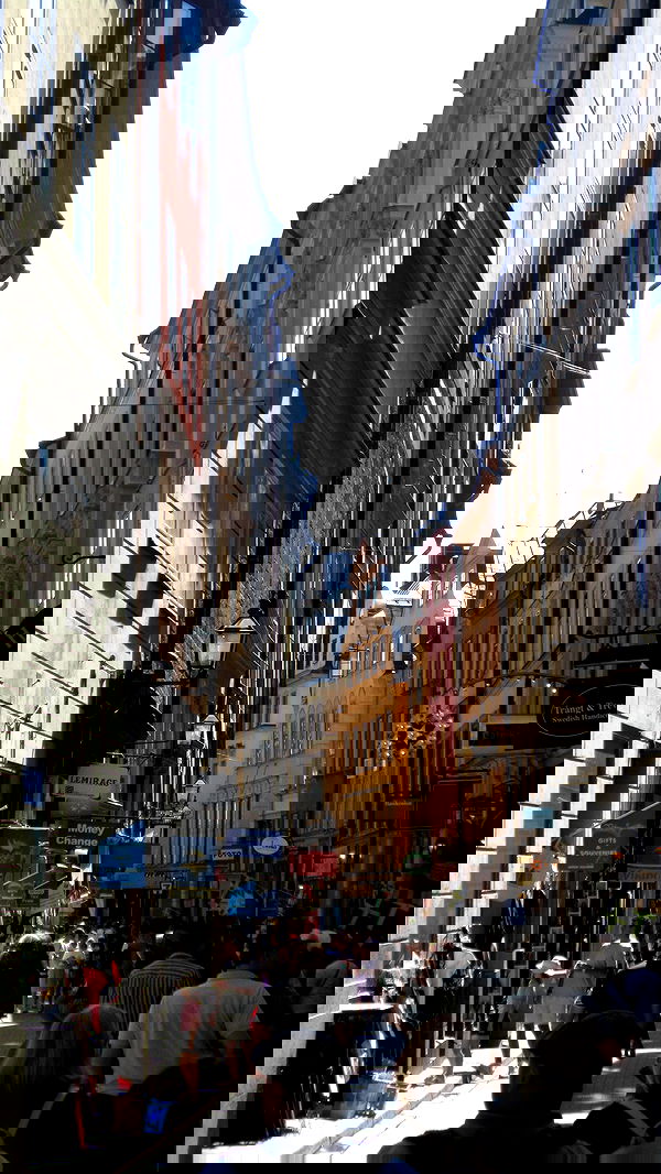 elsgatti image ~ Altpins