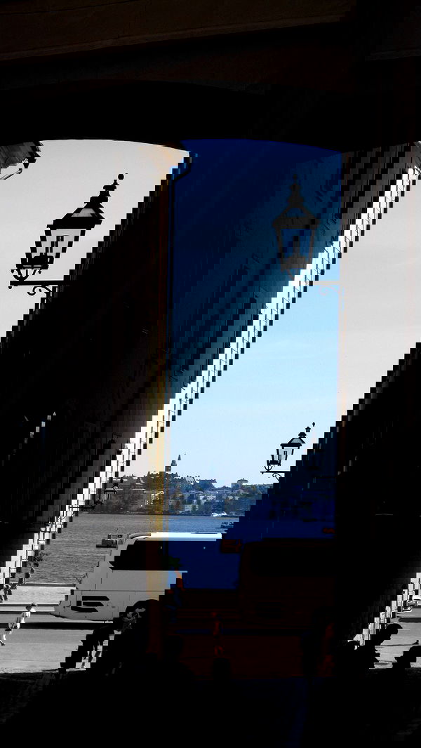 elsgatti image ~ Altpins