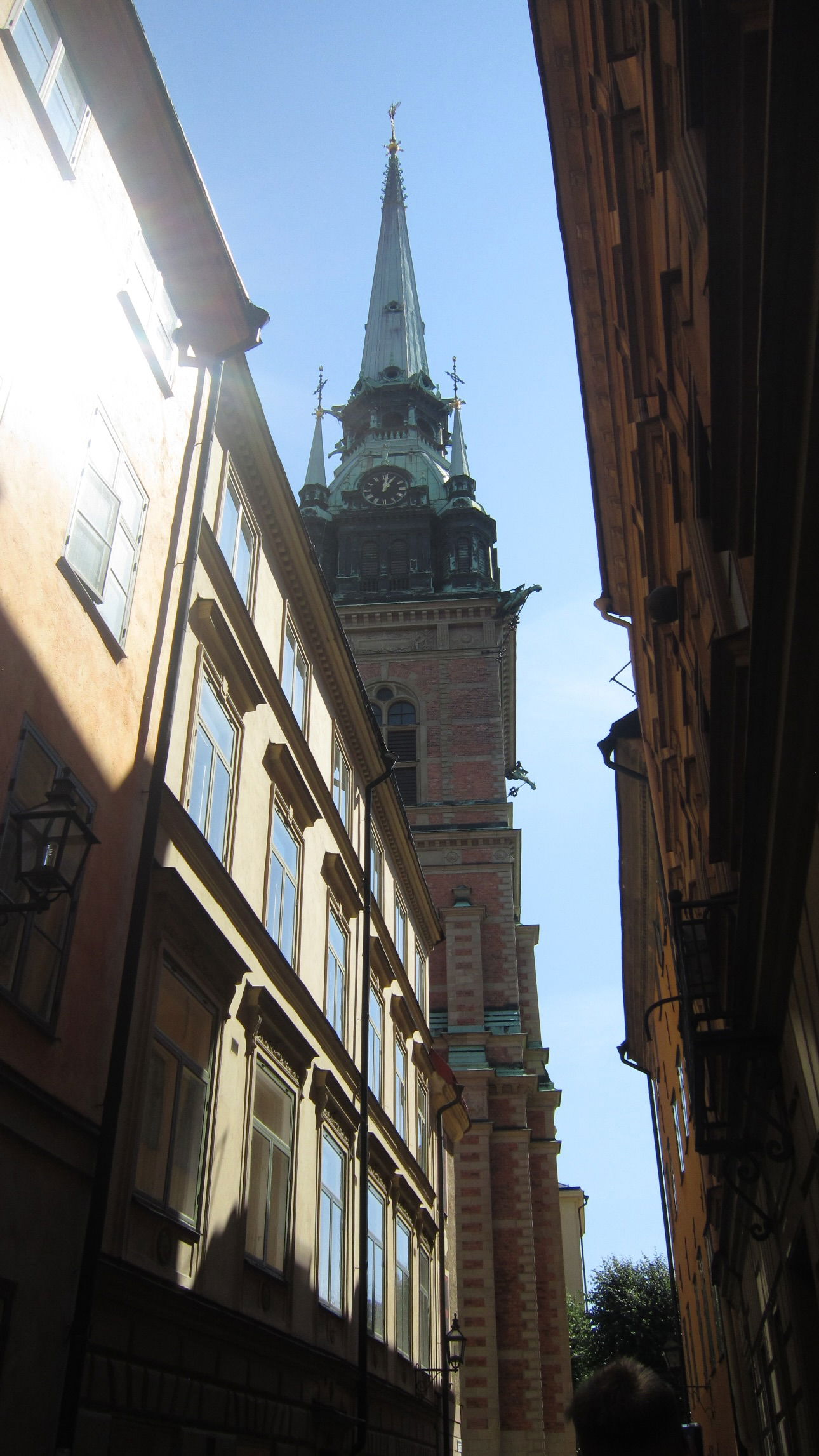 elsgatti instagram image archive image