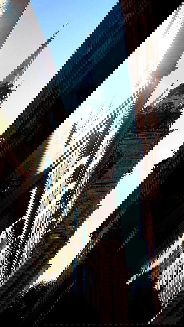 elsgatti image ~ Altpins