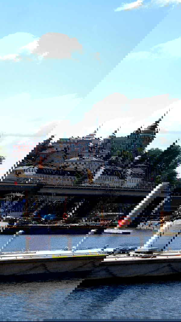 elsgatti image ~ Altpins