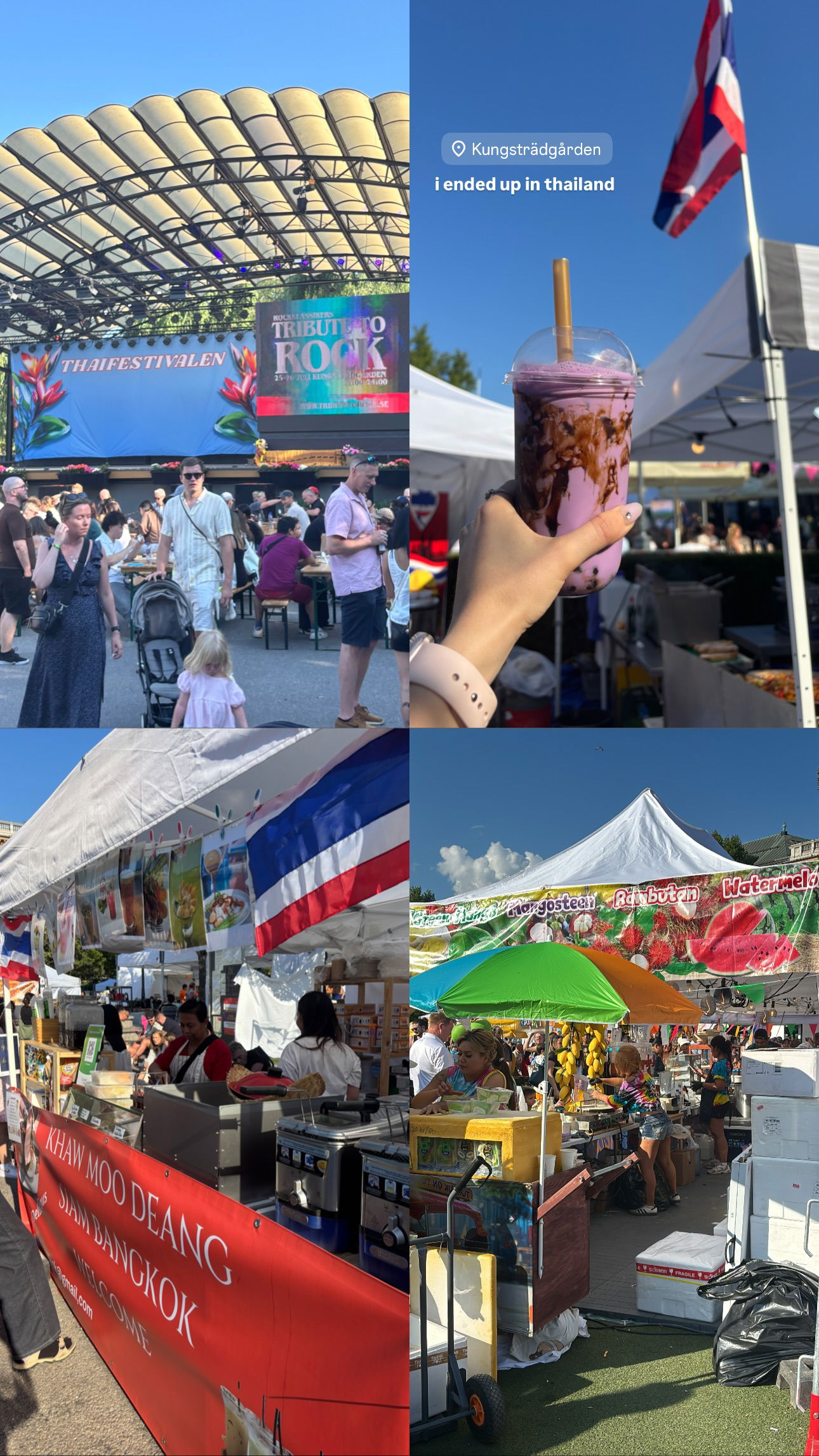 elsgatti instagram image archive image