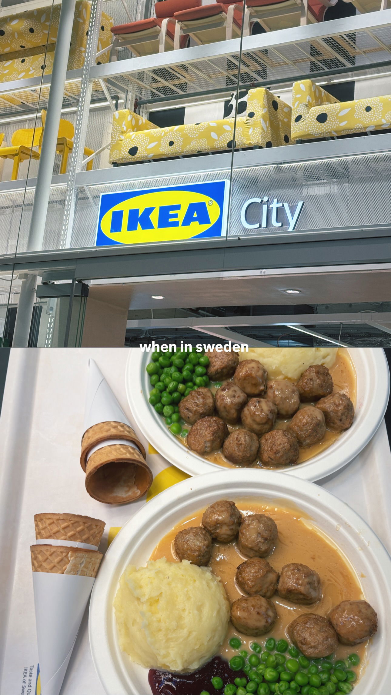 elsgatti instagram image archive image