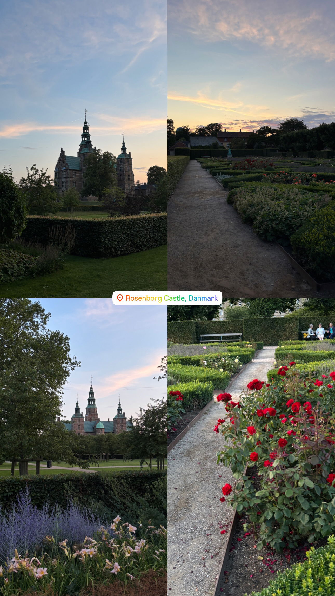 elsgatti instagram image archive image