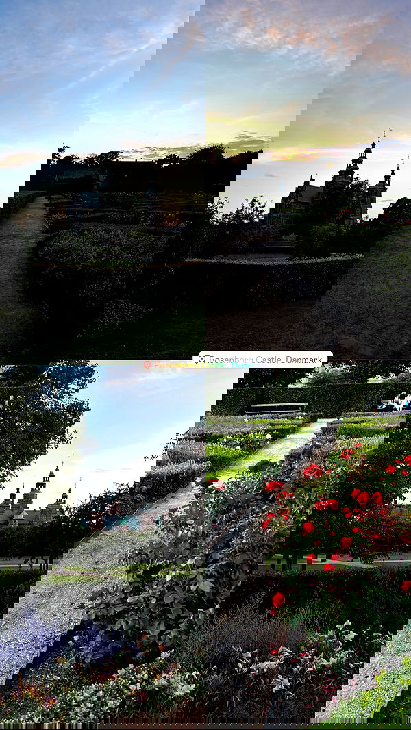 elsgatti image ~ Altpins