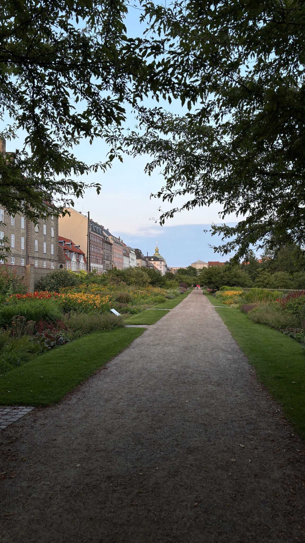 elsgatti instagram image archive image