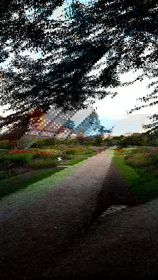 elsgatti image ~ Altpins