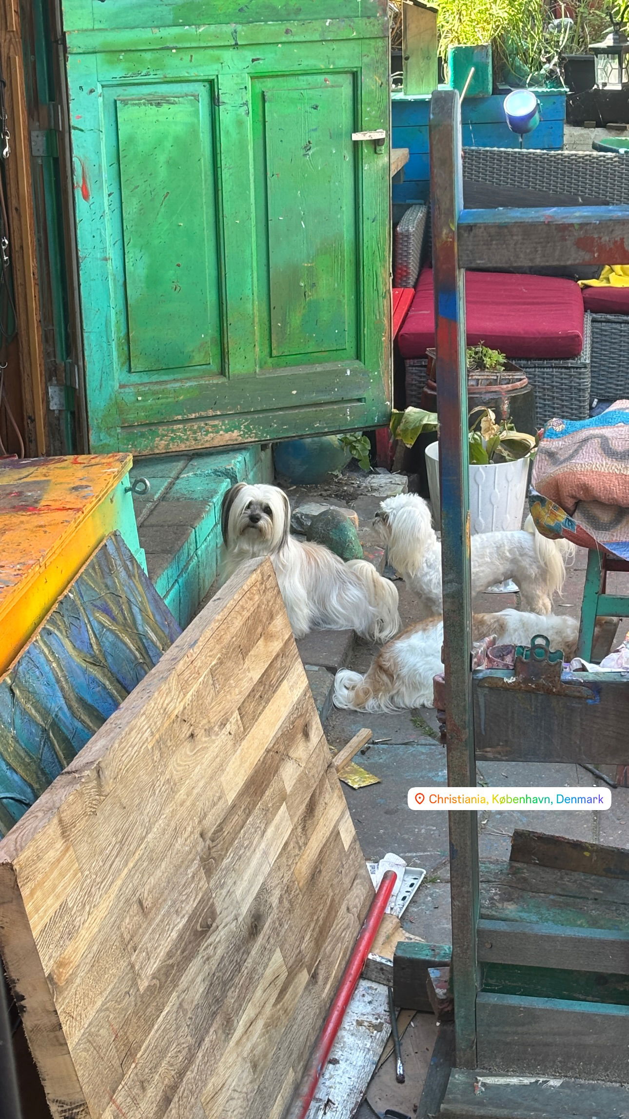 elsgatti instagram image archive image