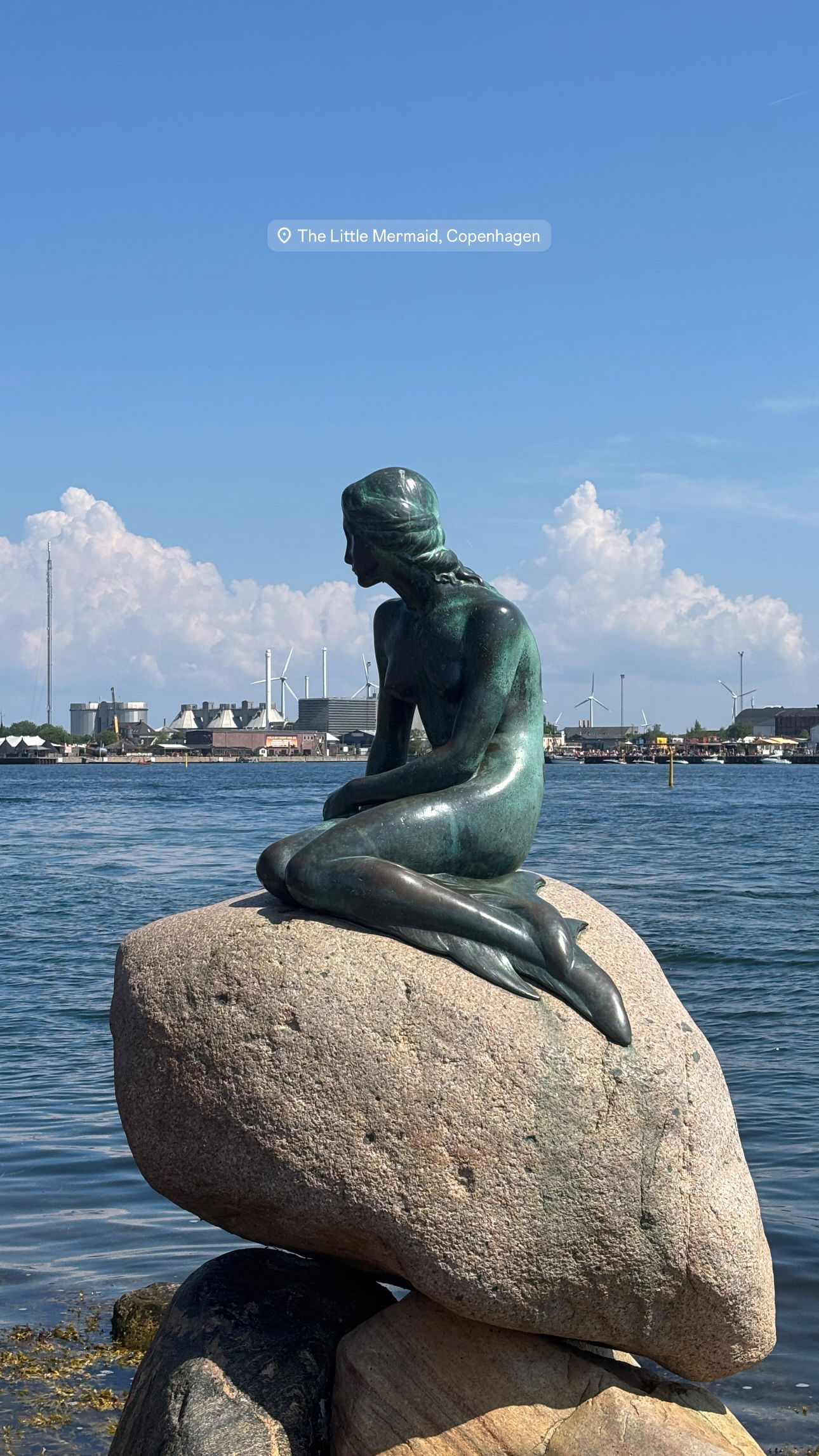 elsgatti instagram image archive image