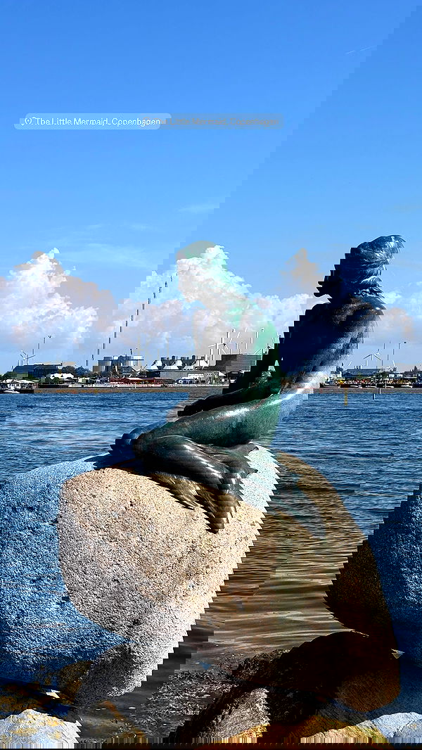 elsgatti image ~ Altpins