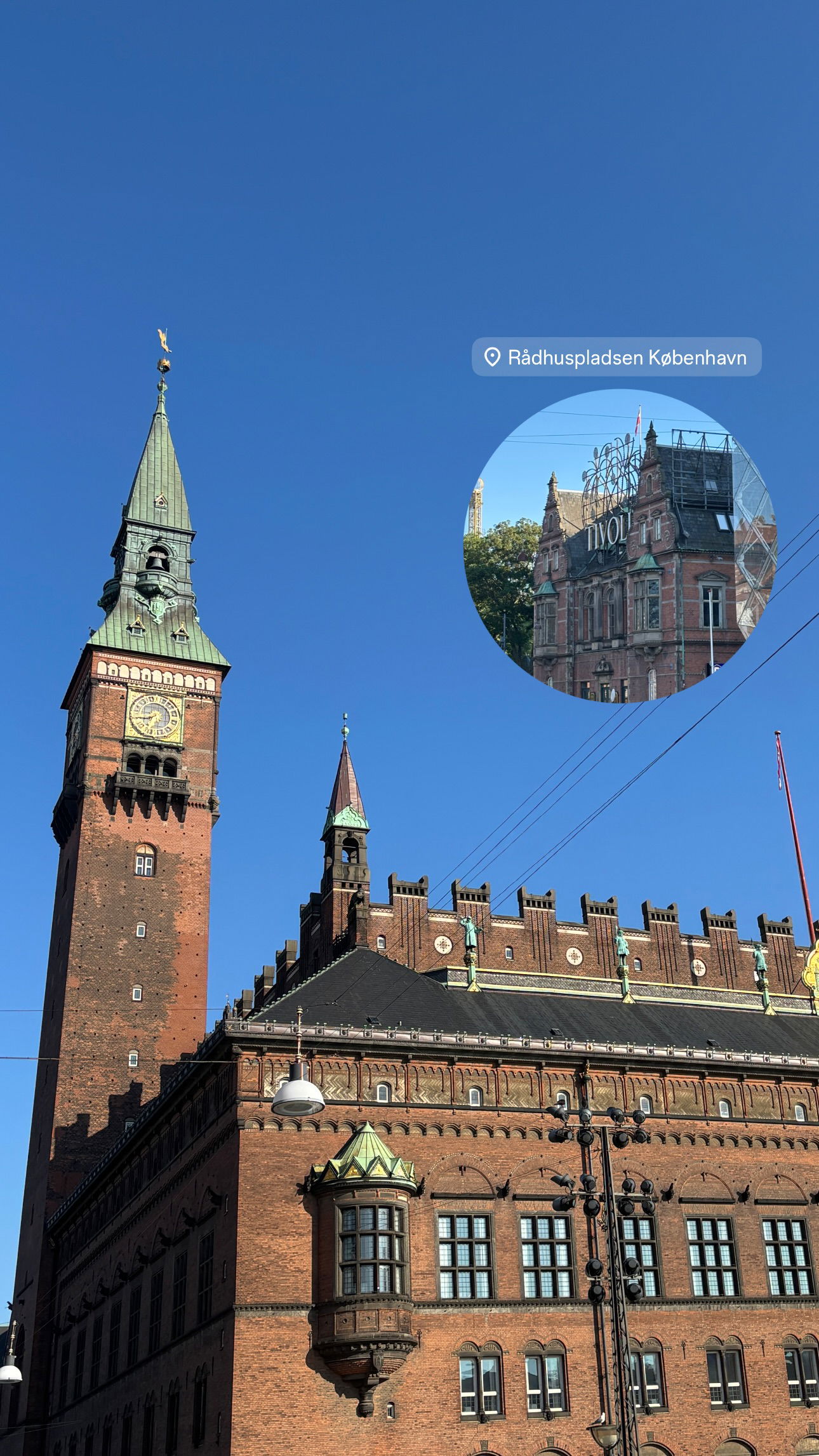 elsgatti instagram image archive image