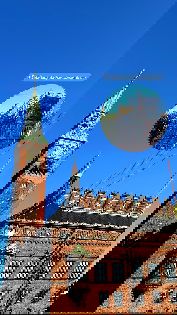 elsgatti image ~ Altpins