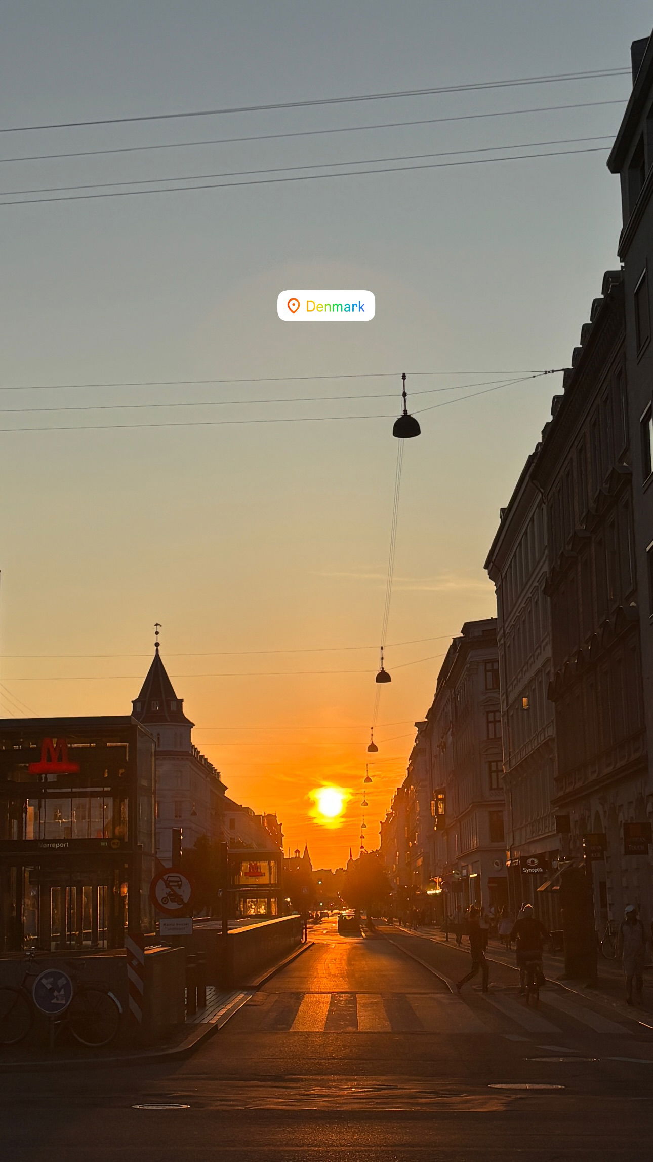 elsgatti instagram image archive image