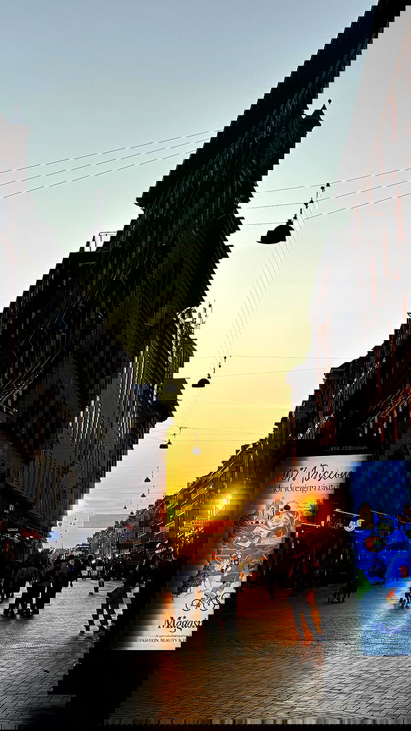 elsgatti image ~ Altpins