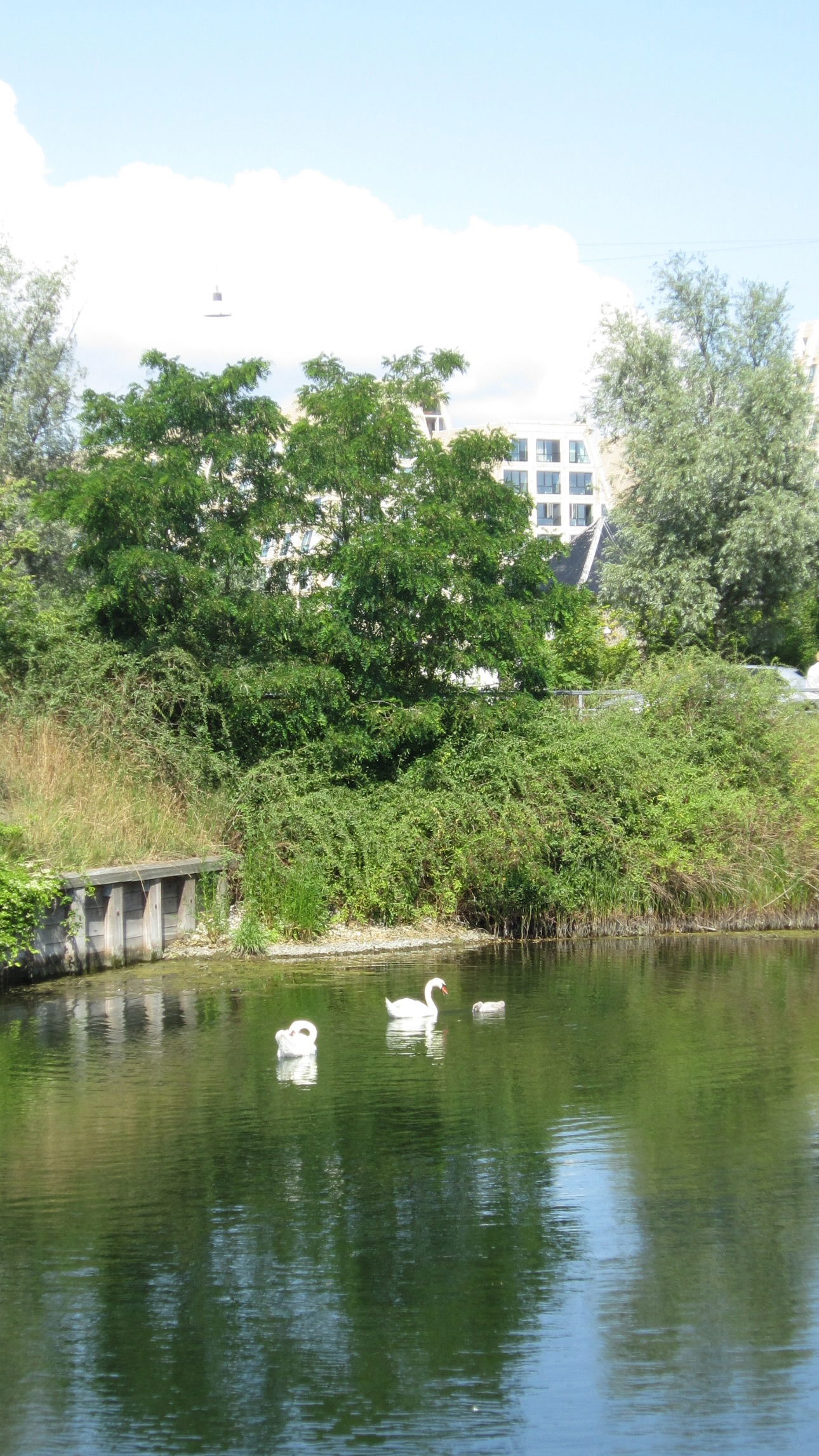 elsgatti instagram image archive image