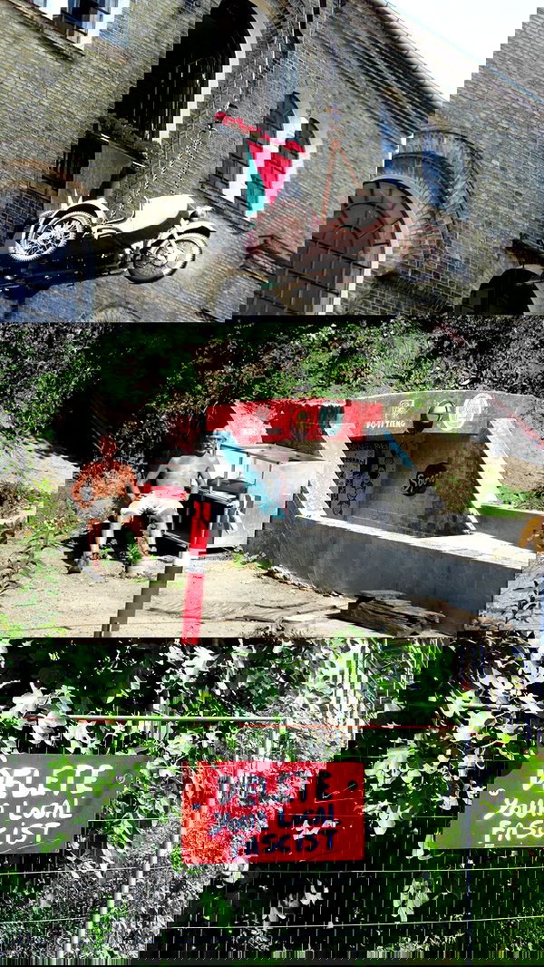 elsgatti image ~ Altpins