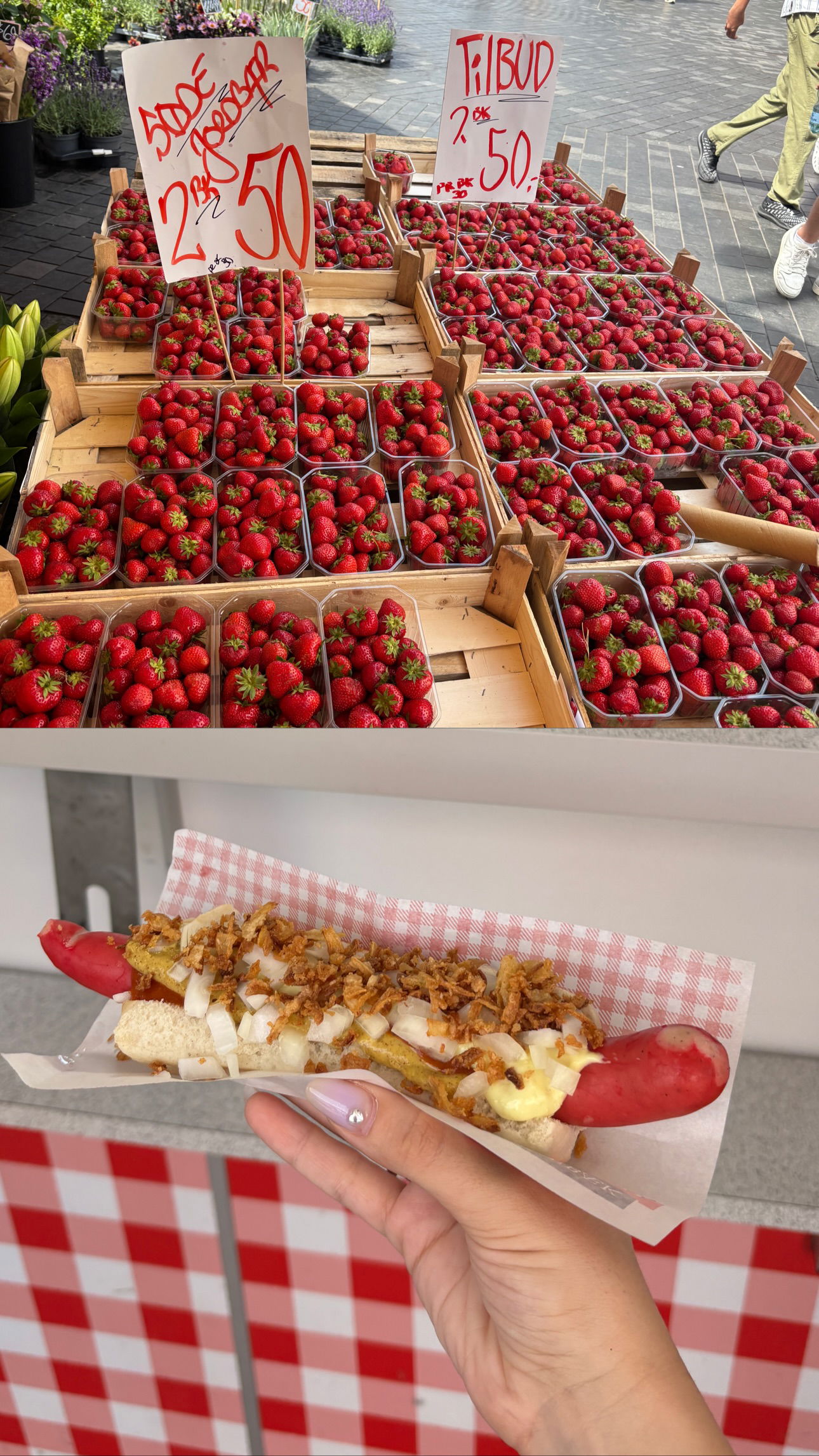 elsgatti instagram image archive image