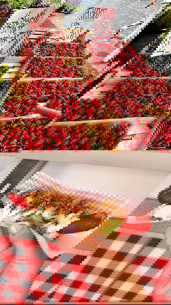 elsgatti image ~ Altpins