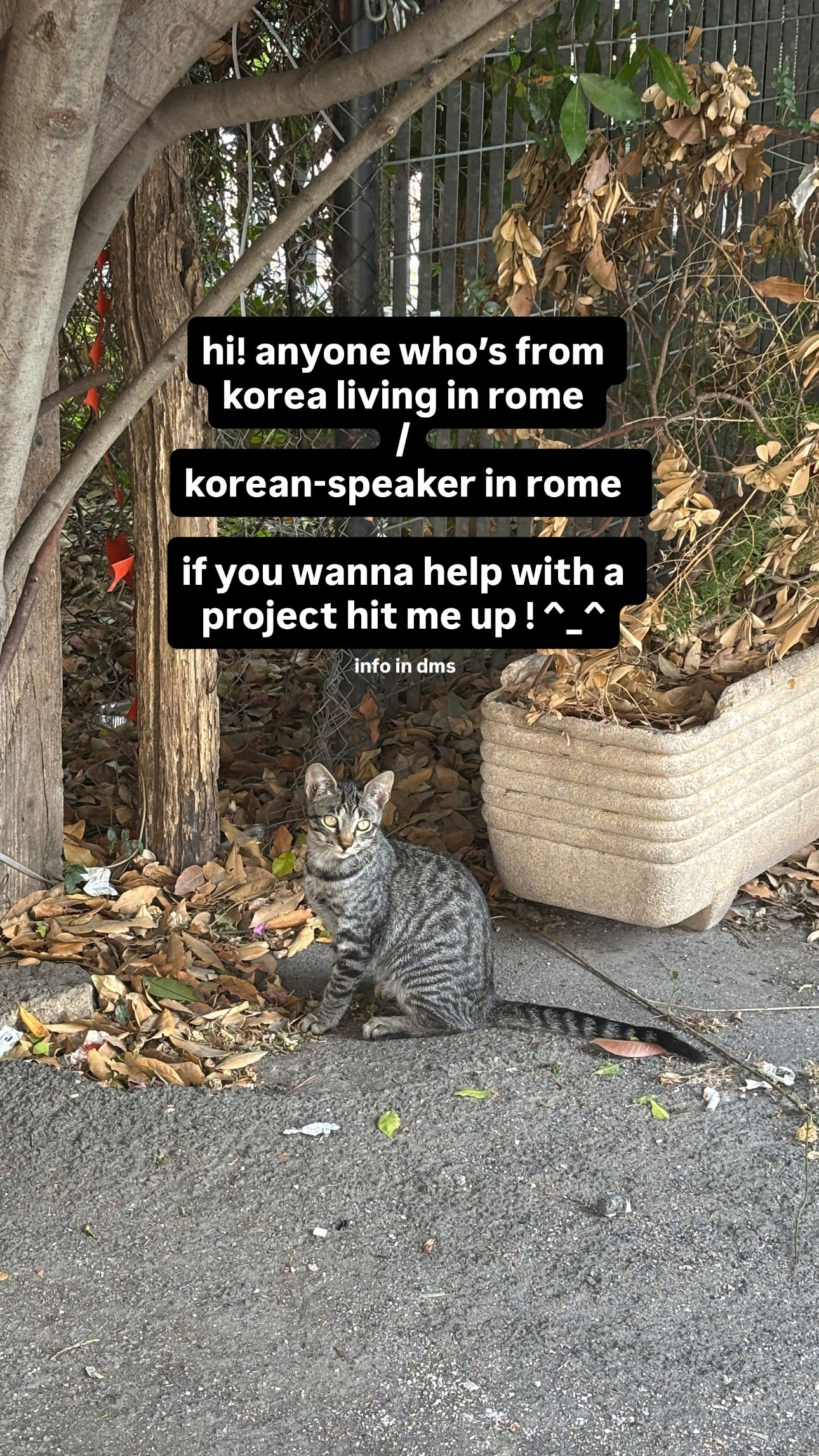 elsgatti instagram image archive image