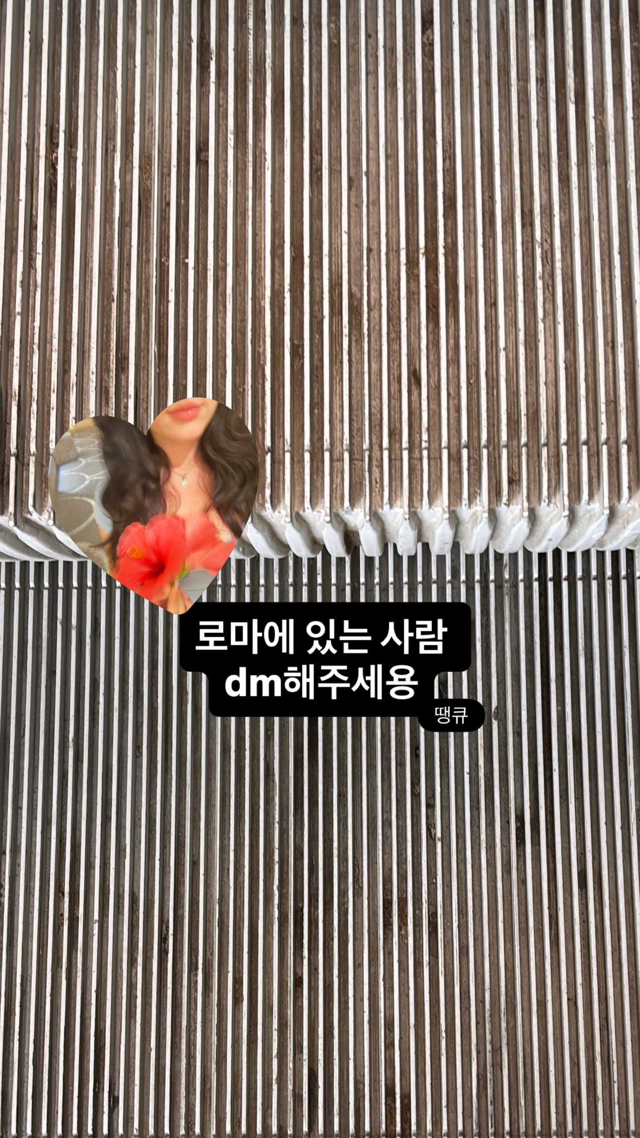 elsgatti instagram image archive image