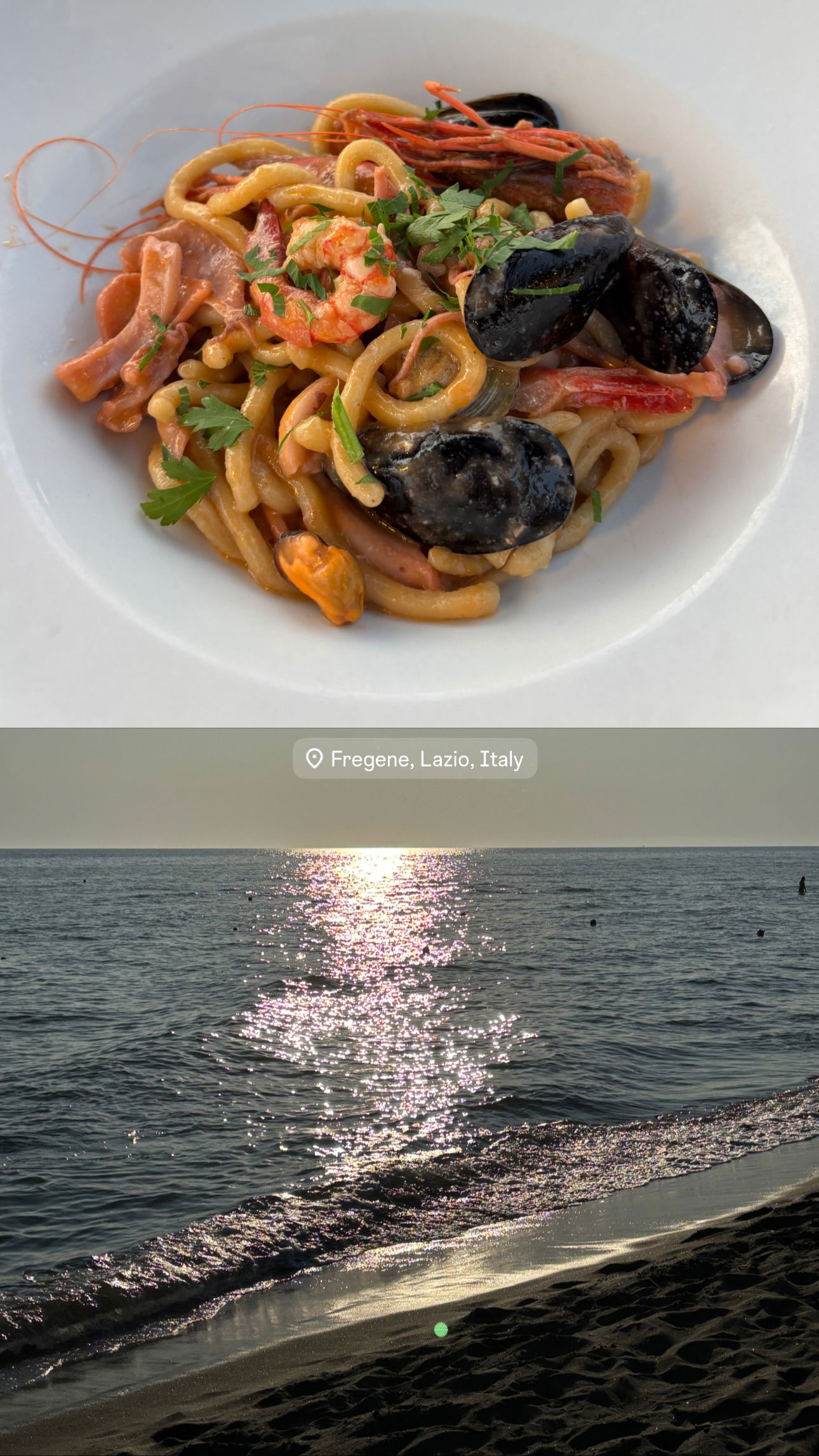 elsgatti instagram image archive image