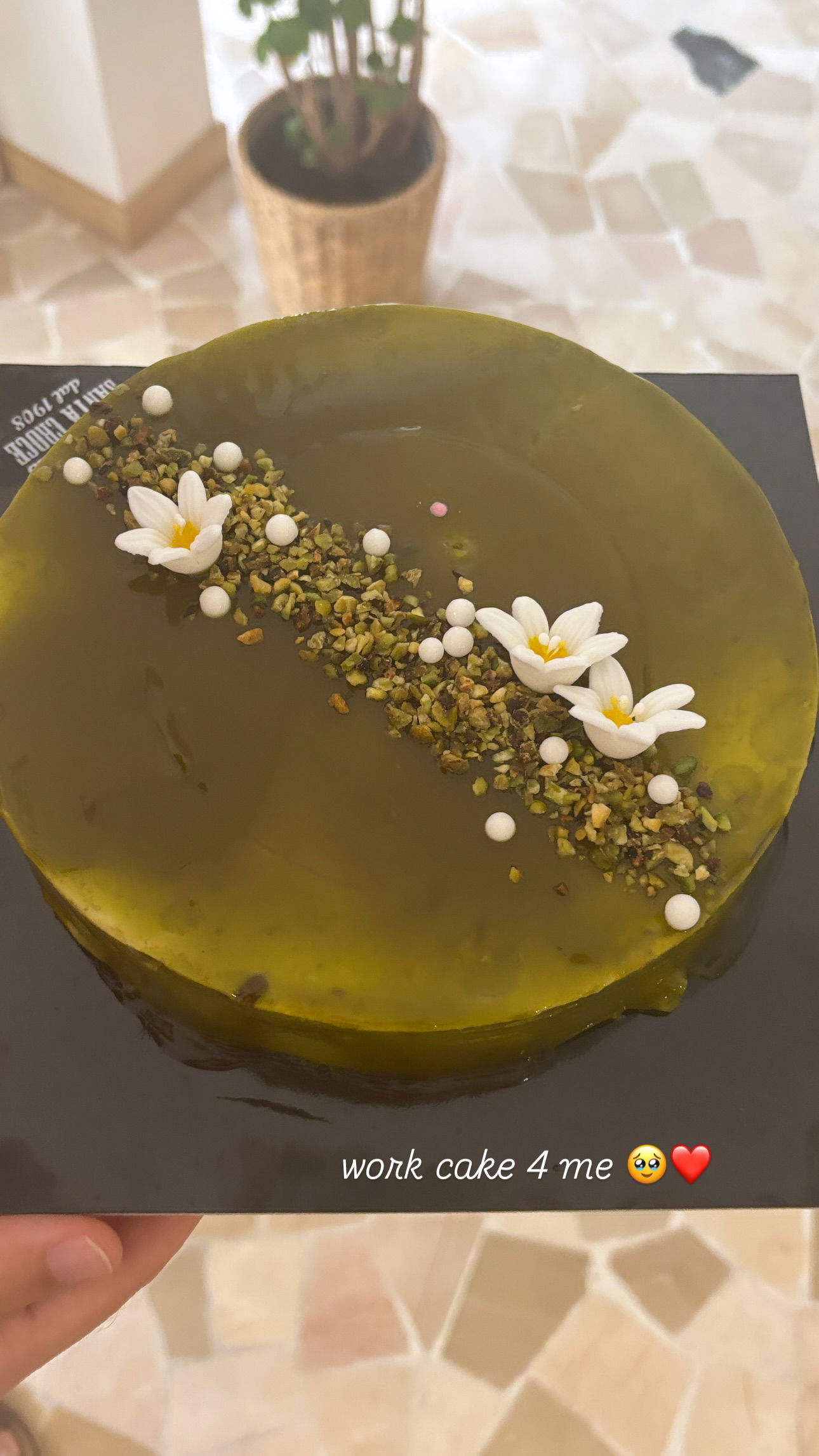 elsgatti instagram image archive image