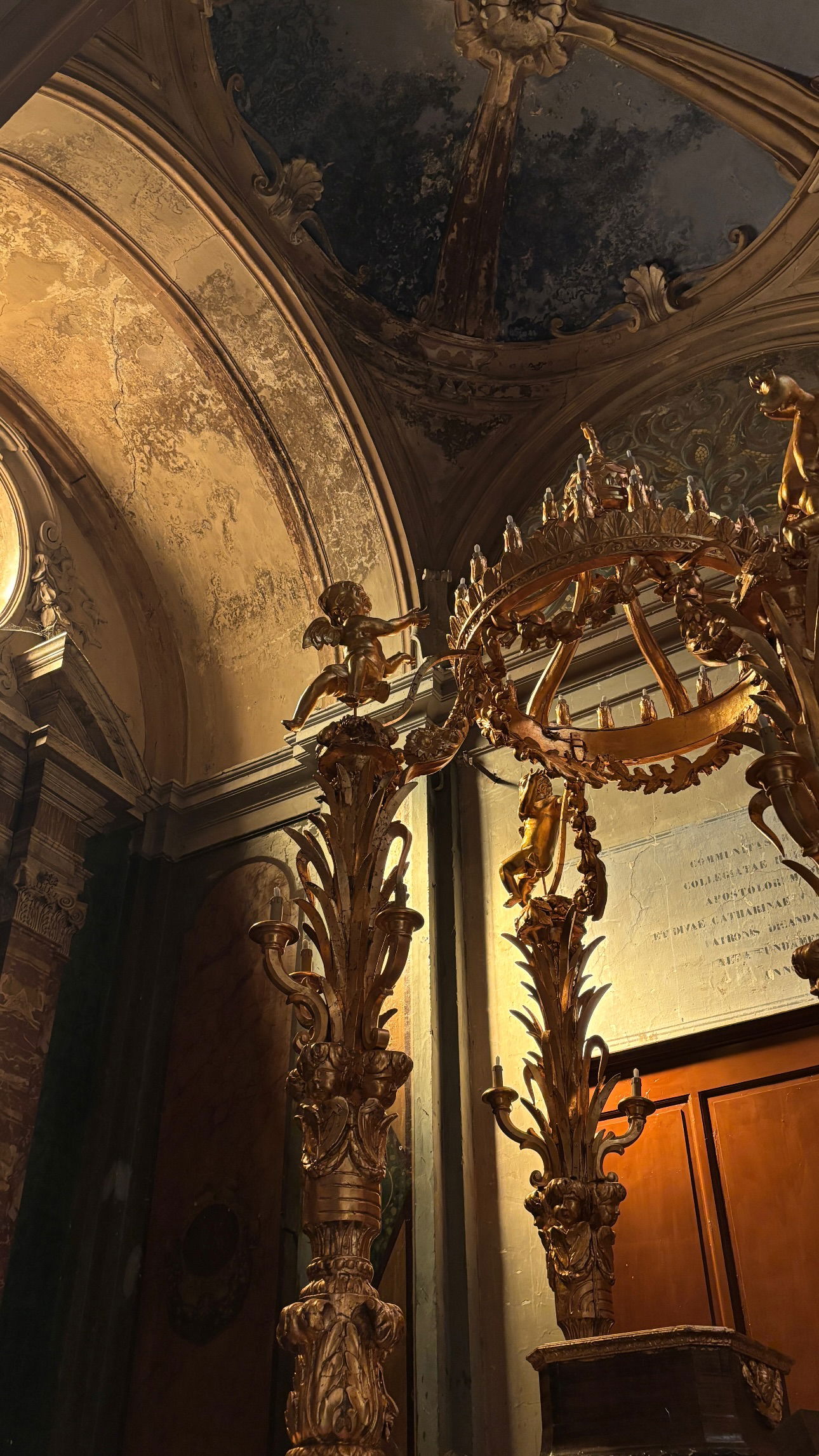 elsgatti instagram image archive image