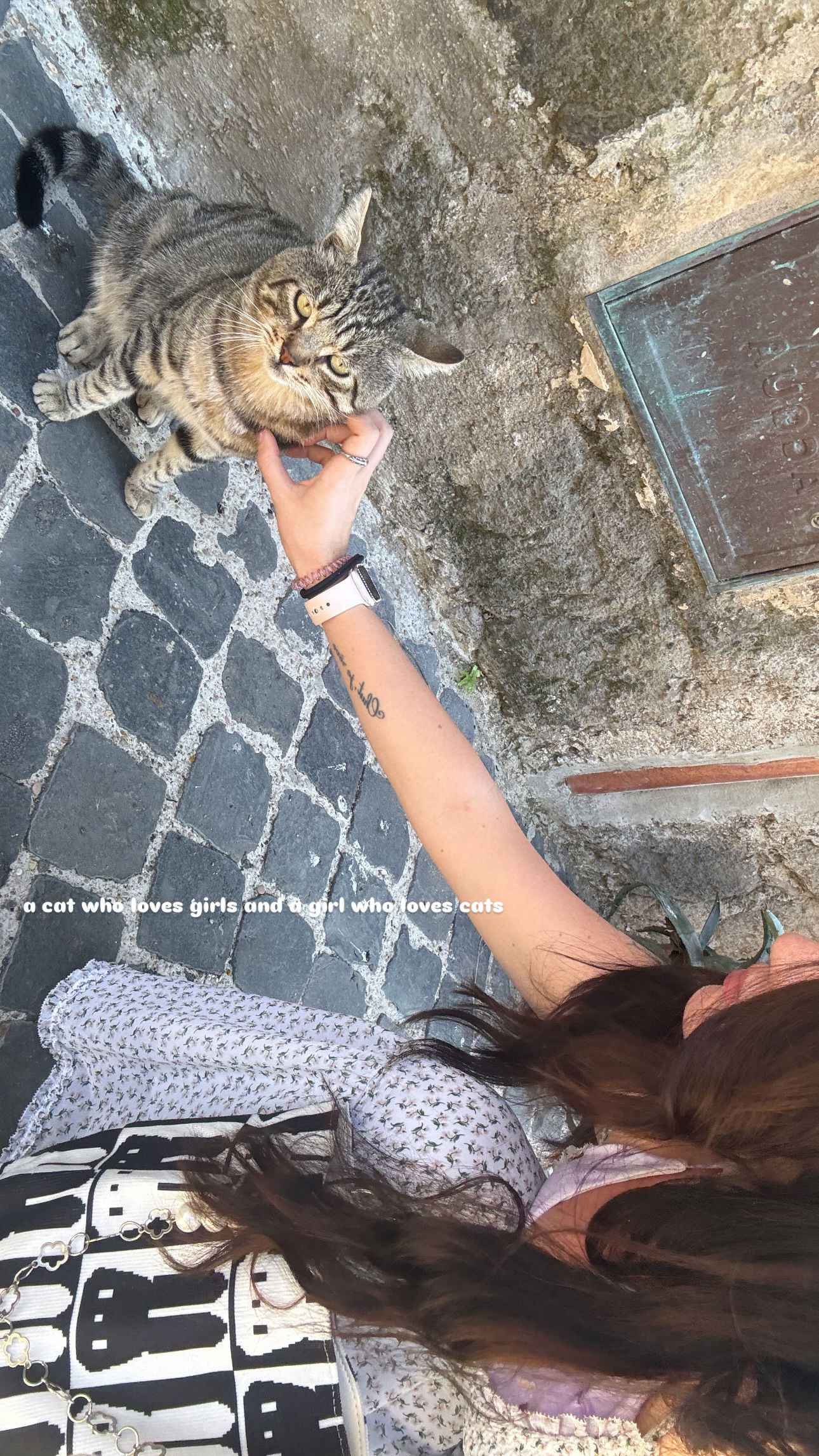 elsgatti instagram image archive image