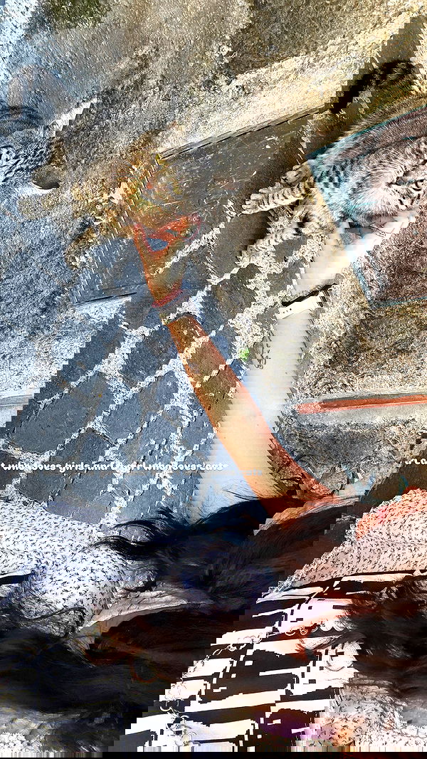 elsgatti image ~ Altpins