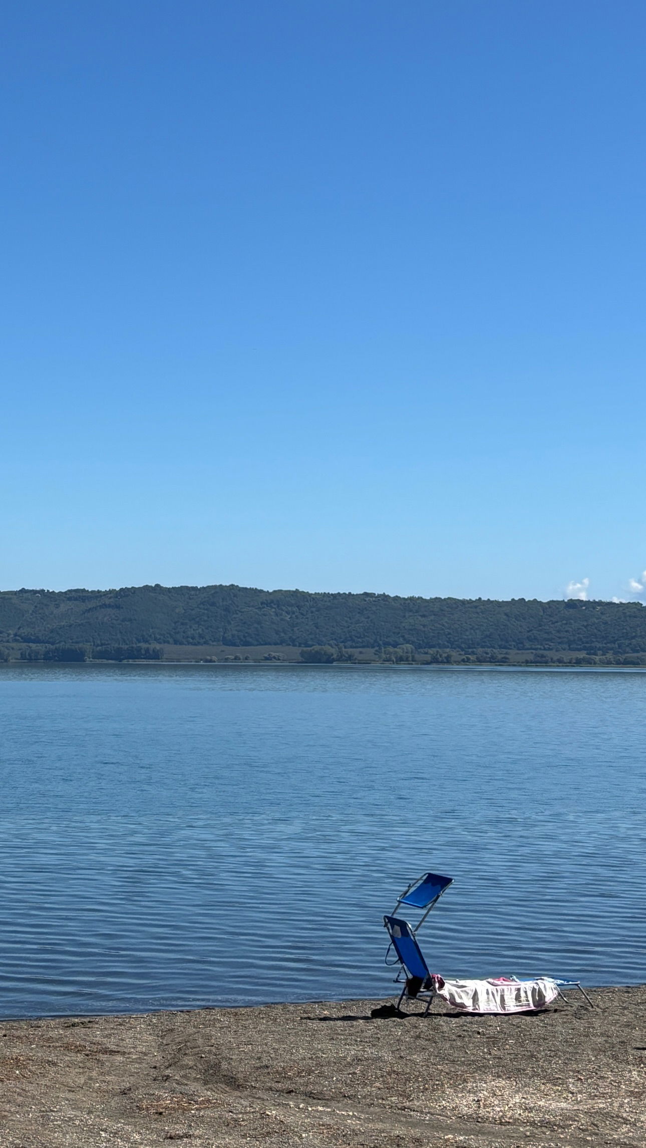 elsgatti instagram image archive image