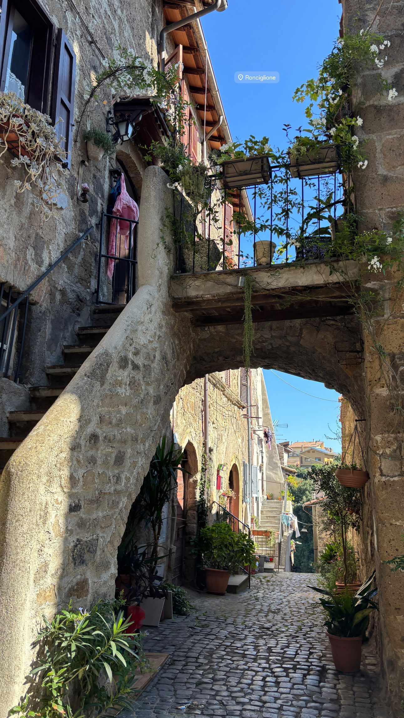 elsgatti instagram image archive image